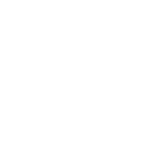 noursat 2 300x300