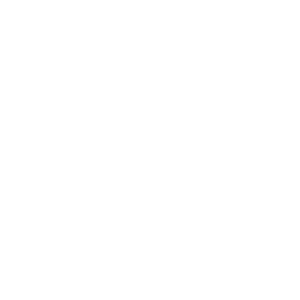 radiofan 2 300x300